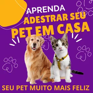 Mundo Pet, Adestrando seu Pet em Casa